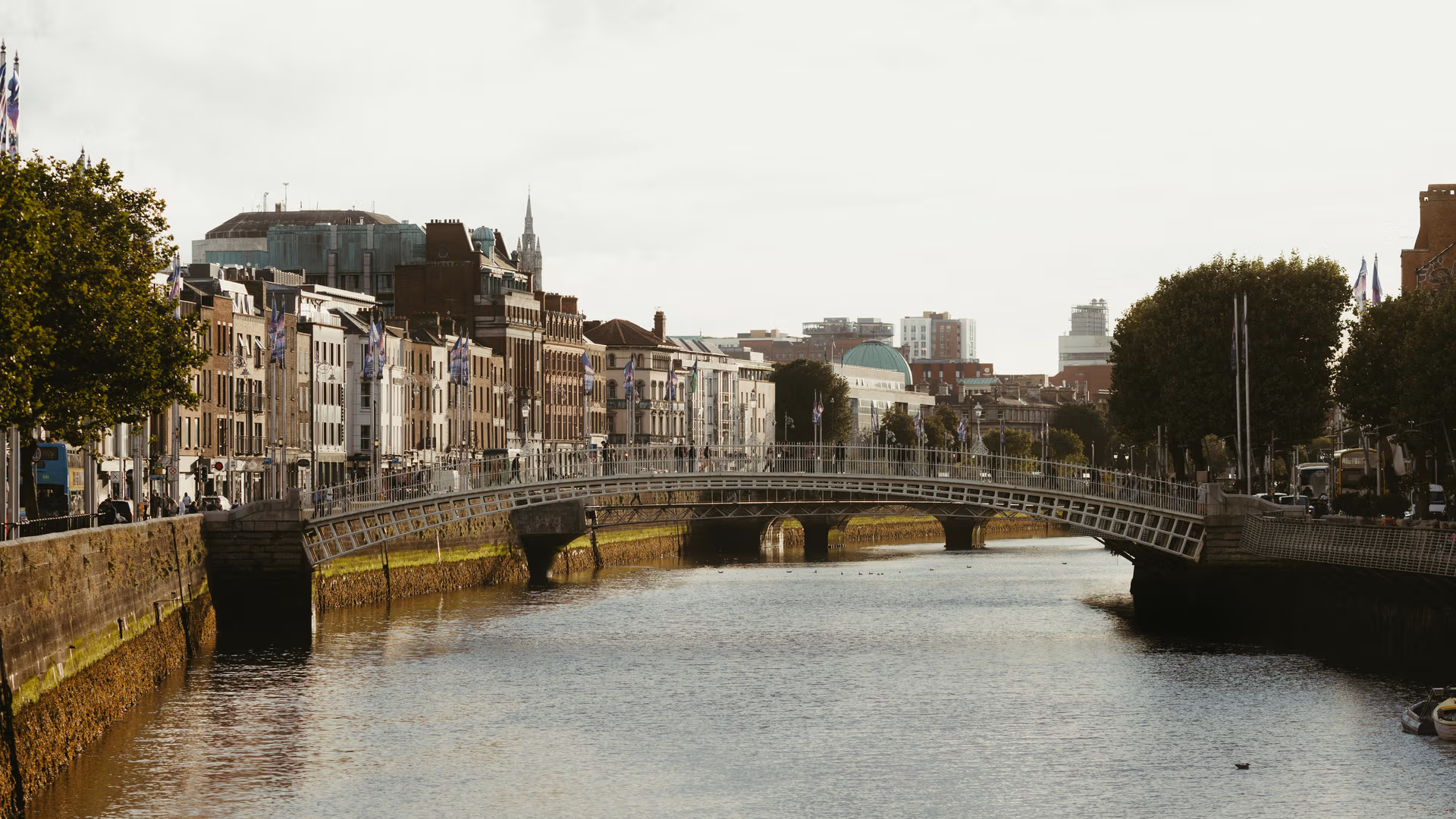 Digital marketing services in Ireland - Digital Marketing Agency in Ireland